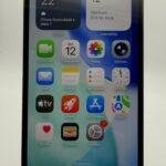 WhatsApp Image 2026-03-17 at 11.49.36