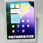 WhatsApp Image 2026-04-13 at 17.12.28-4